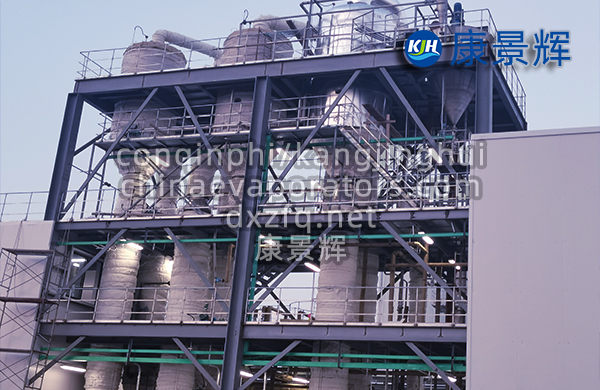 強制循環(huán)蒸發(fā)結(jié)晶器